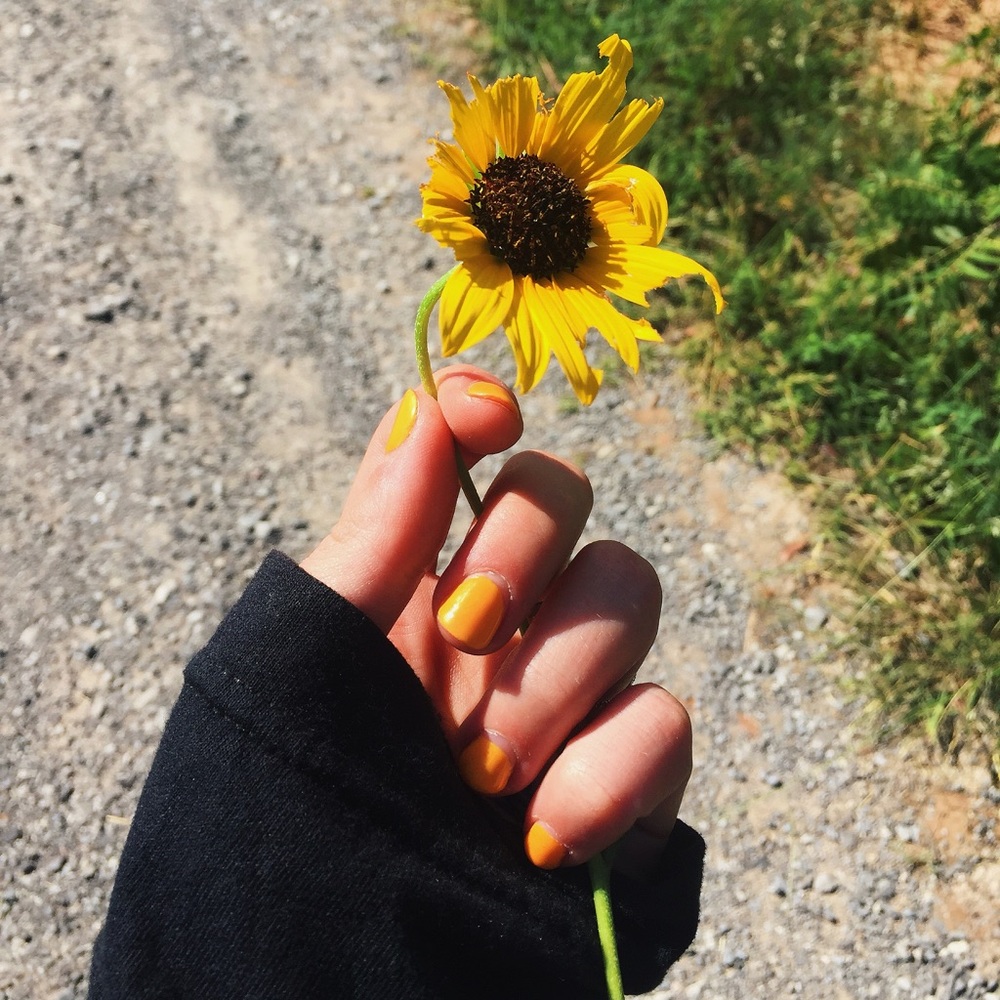 Meet your Posher, Shaily Robinson